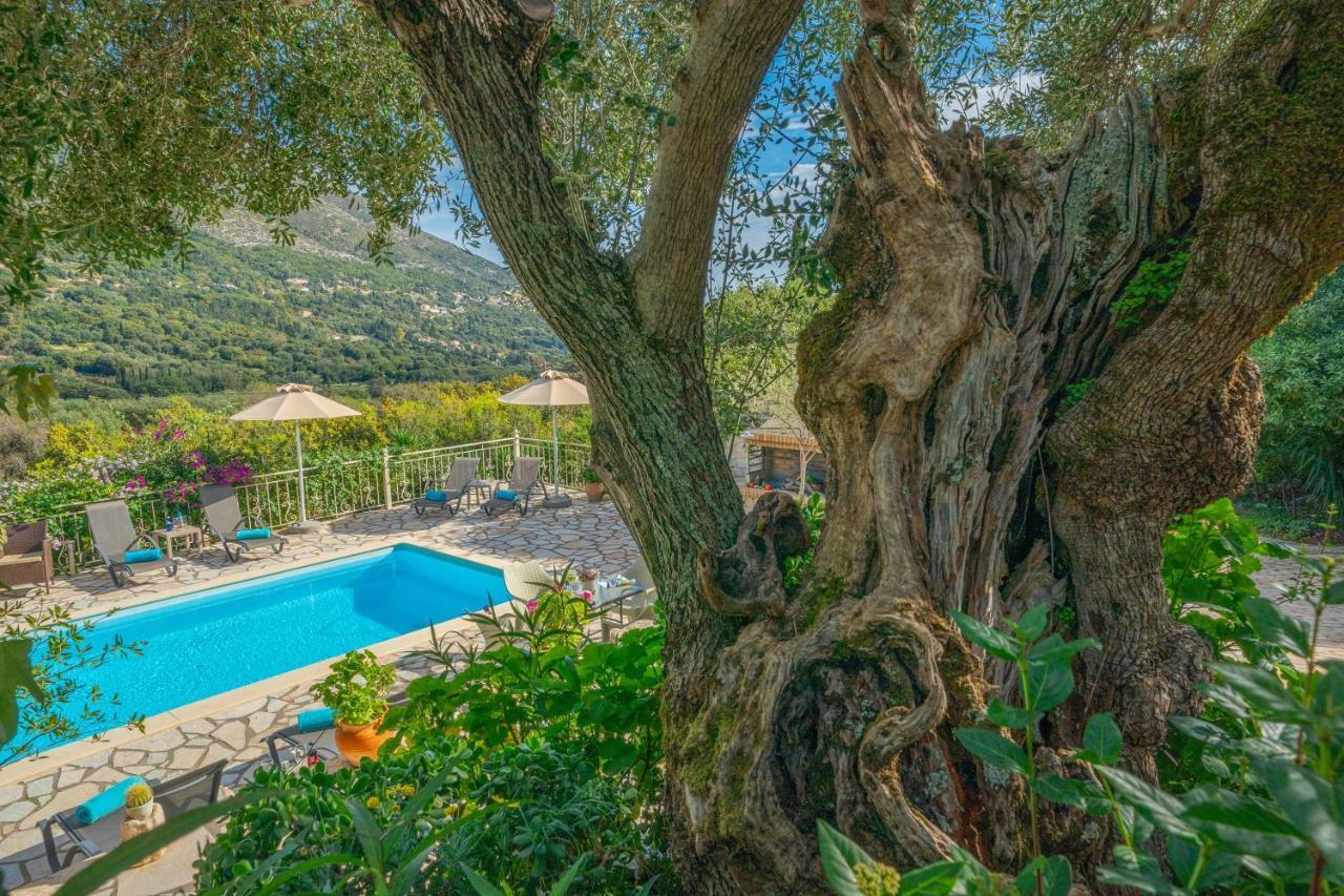 Private Close To Famous Myrtos With Private Boat! Agia Efimia