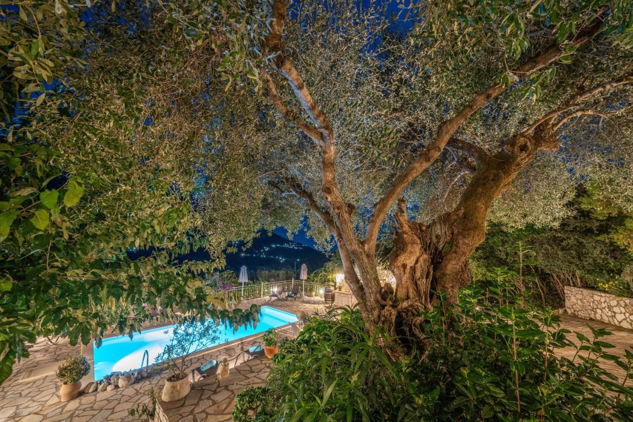 Villa Private Close To Famous Myrtos With Private Boat!